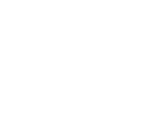 Logo_PCA2021_white-300x260